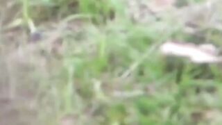 Sakuras Secret Garden Hoe 3