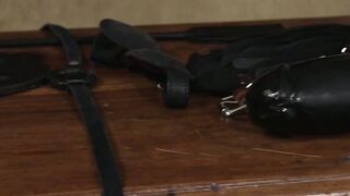 Electric Dream TS Goddess Venus Lux Ignites Passion in Submissive Maverick