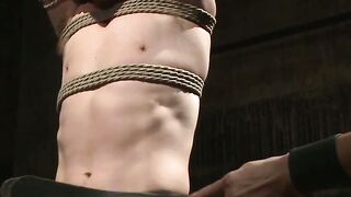 Subjugated Sebastian Keys Surrenders to Van Darkholmes Domination
