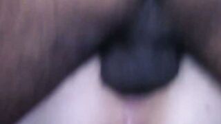 Unleashing the Beast A Stallions Pleasure