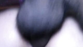 Unleashing the Beast A Stallions Pleasure