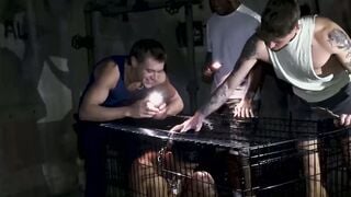 Breaking the Pup Apollo Fates Brutal Initiation