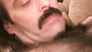 Balls Deep The Hairy Stallions Orgasmic Adventure