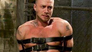 Prison Break A Tale of Lust and Liberation