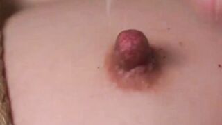 Tortured Delights