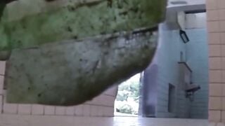 Secrets Exposed Hidden Cameras Capture the Unexpected