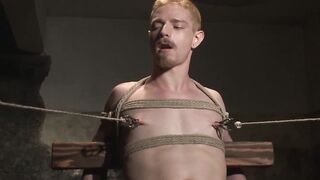 Bound and Broken Cody Winters Endless Agony