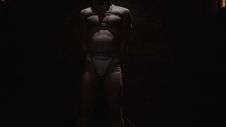 Dominant Desire Training a Submissive