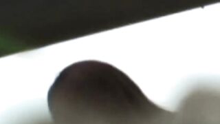 Exposing the Truth Hoe 2