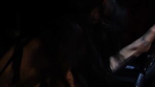 Sordid Seduction Donna Dolores Descent into Darkness