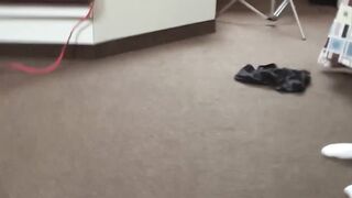 "Sexy Stud Strips Down & Masturabtes With Toys For A Solo Pleasure Session"