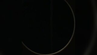 "Transsexual Blowjobs - Glory Hole Surprise"