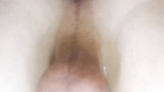 Tranny Temptations A Shemale Seduction