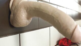 Pleasuredrome A XXX Odyssey