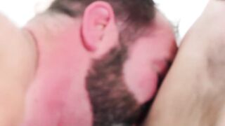 Lost Innocence A Young Cubs Descent into Sin