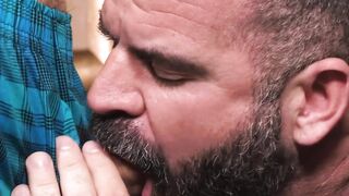 Dominant Daddy Returns A Tale of Sire Passions