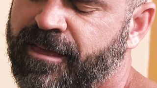 Dominant Daddy Returns A Tale of Sire Passions