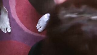 "Redheaded Bombshells - Group Sex Orgies with Hot Babes"