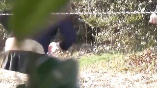 "Japanese Teen's Daring Adventure in Taboo Pee Play"