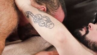 "Chunky Bear's Anal Spanking Session with Cub - Taboo Roleplay"