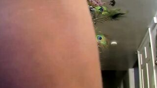 Deviant Delights A Jocks Obsession