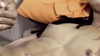 Black Diamond A Royal blowjob