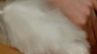 Tempting Temptresses A Naughty Odyssey