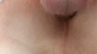 Butterflys Pleasure