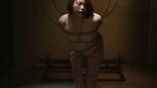 Forbidden Frenzy Hoe 11