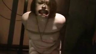Forbidden Frenzy Hoe 11