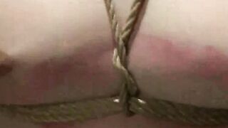 Forbidden Frenzy Hoe 11