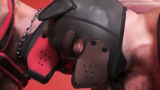 Puppy Love Riley Mitchells Alpha Anal Odyssey