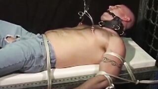 Pleasured Punishment A Bound Ballers Agony