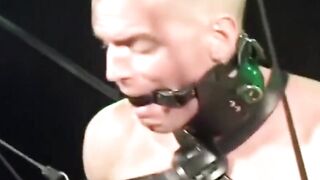 Bound and Brutal A Muscle Mans Desperate Plea