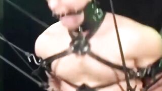 Bound and Brutal A Muscle Mans Desperate Plea