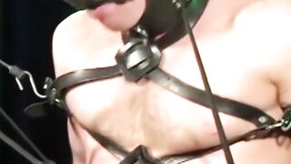 Bound and Brutal A Muscle Mans Desperate Plea