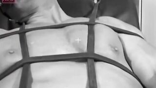 Punished The Unyielding Desire