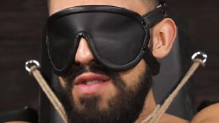 The Beards Bluster Zeno Reys Sweet Squeeze