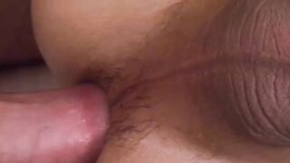 Thai Temptation Ladyboy Lovers Delight