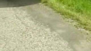 Paved with Seduction