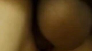 Silky Seduction in the Wilderness A Lusty Lolitas Lovers Leonine Love Fest