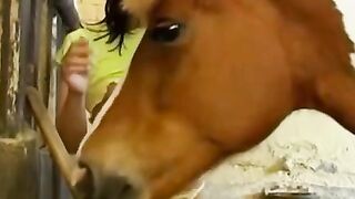 Saddle Up for Seduction