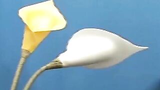 "Big Dick Riding Tutorial For Teenage Virgin With Huge Facial"