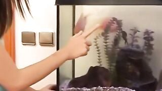 "Teens Loves Anal - Young Hottie Gets Her Ass Fucked Hard By Stepbrother's Friend"