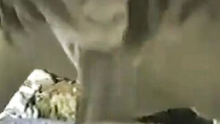 "Hot Milf Rides A Huge Dick In POV Style"