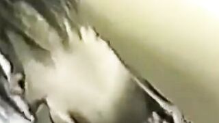 "Hot MILF Rides A Big Dick In POV Style"