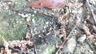 "Japanese Amateur Expedition - Peeing in Public Places"