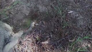 "Japanese Amateur Expedition - Peeing in Public Places"