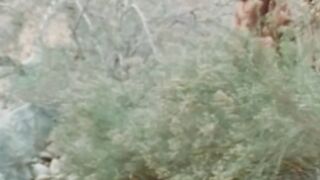 "Hairy Hunks - Passionate Sixtynining in Woods"