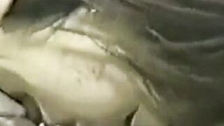 "Hot Milf Rides A Big Dick In POV Style"